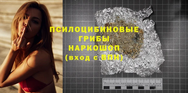 шишки Наволоки