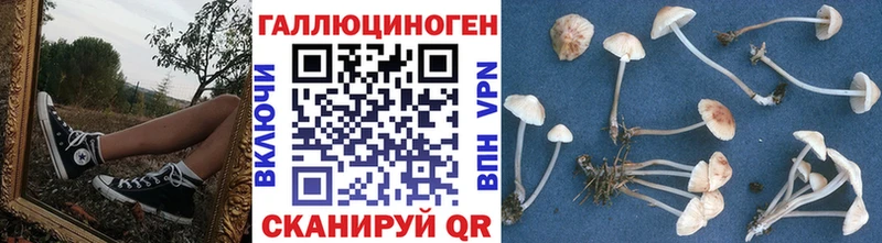 Псилоцибиновые грибы ЛСД  Купить где  Макарьев 